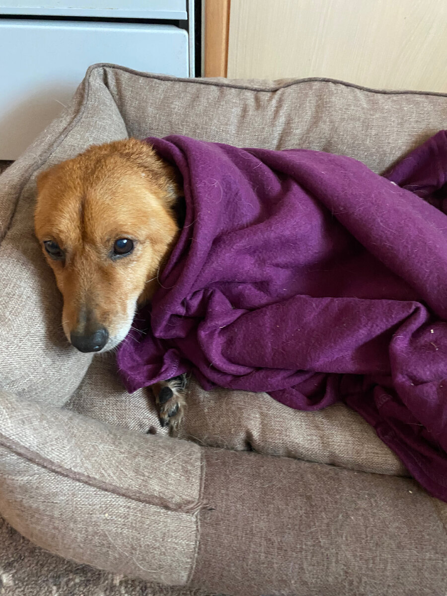 Это я после купания 