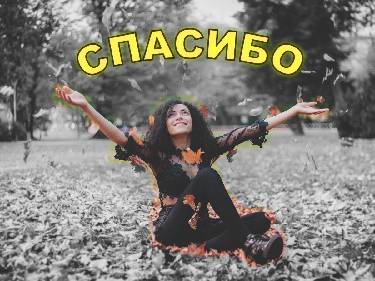 Фото с сайта Pexels.com