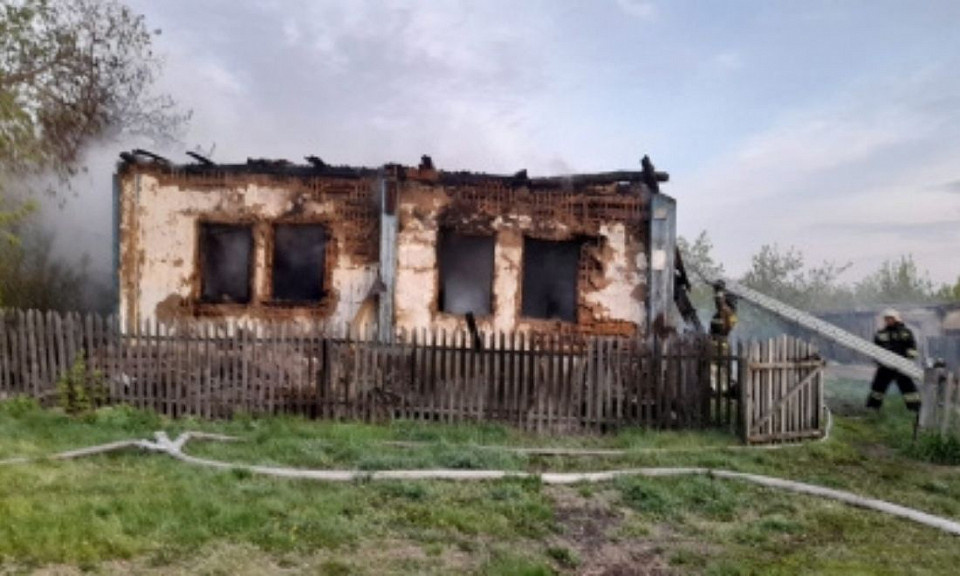 Фото: СУ СКР по Новосибирской области