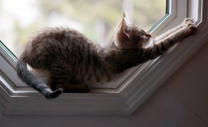 Пошалить можно