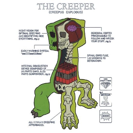 Из официальной книги майнкрафта.