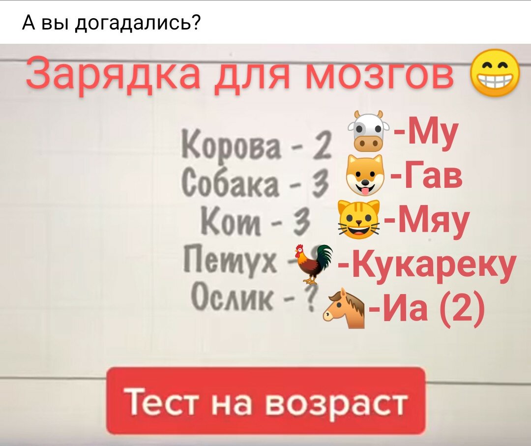 Ответ на Зарядку для мозгов😁 | Zheka@ | Дзен