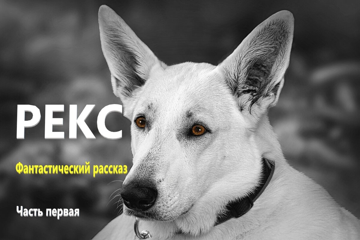 Конечно коля. Конечно коля