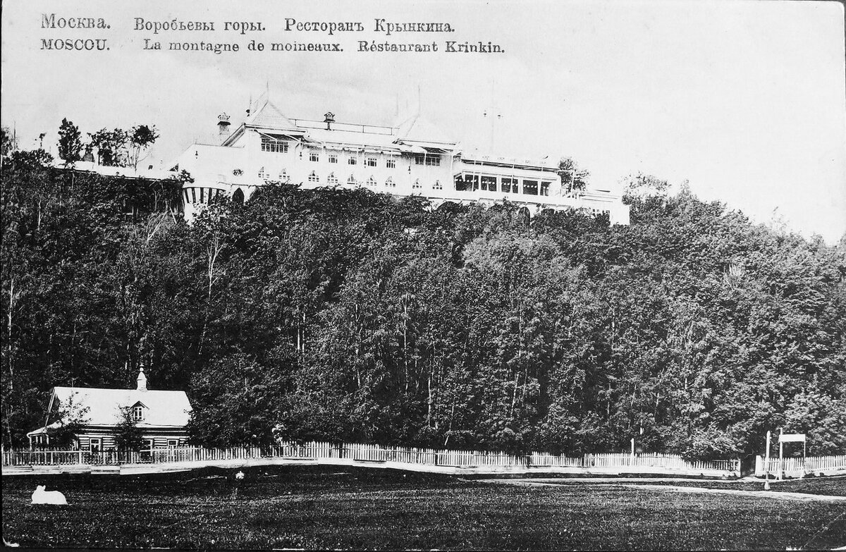 Вид на ресторан С. Крынкина от Лужников. Фото из открытых источников