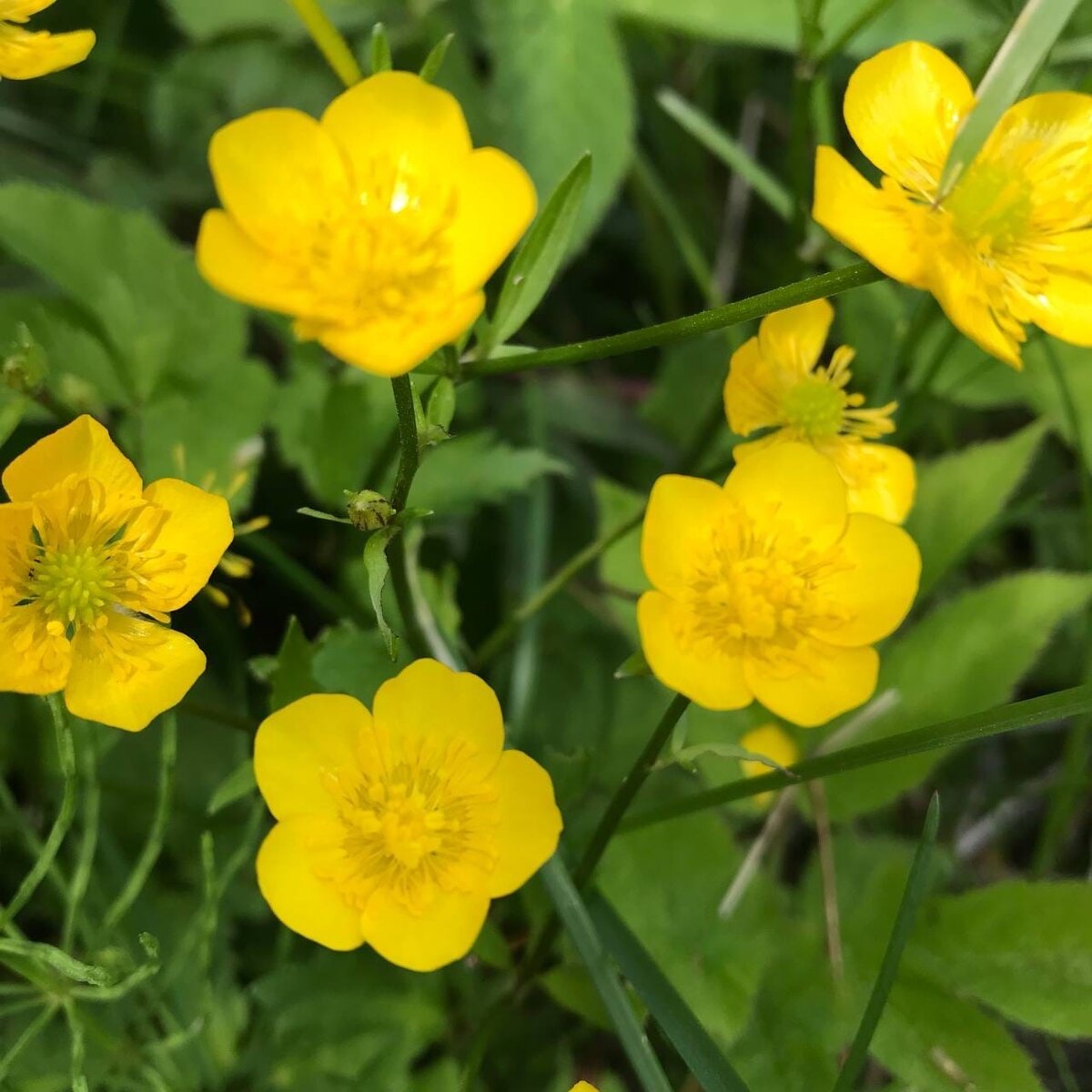 Фото: Исянова Э.Х.