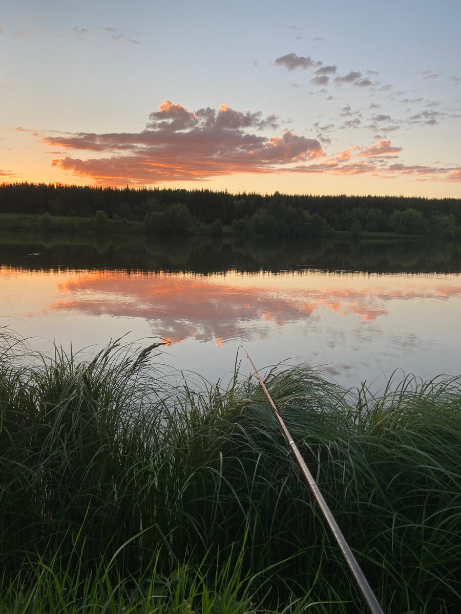 Ловим рыбку🐟🐟🐠🐠