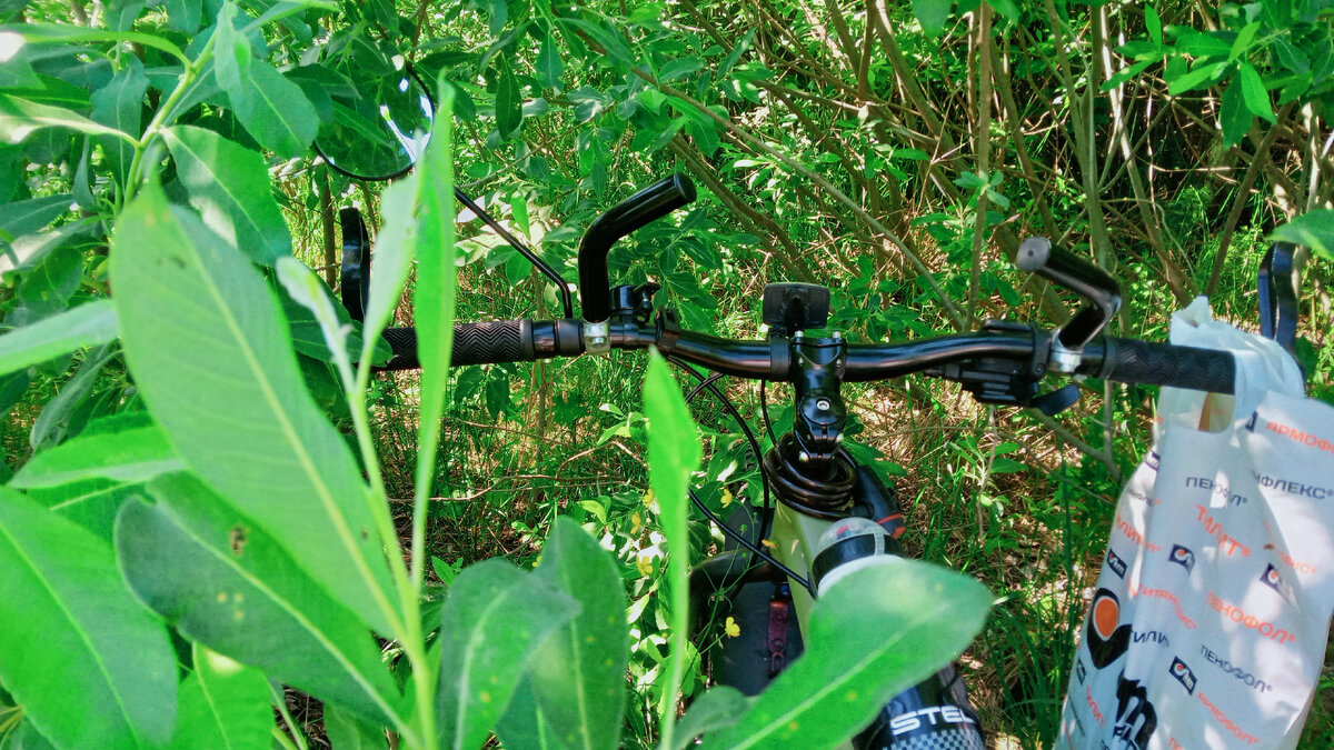 Кусты - они же "дебри", почти не проходимые...