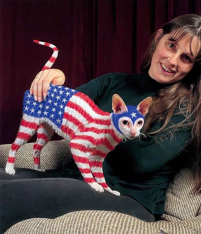 Вот так хозяйка кошечки проявляет свою патриотичность