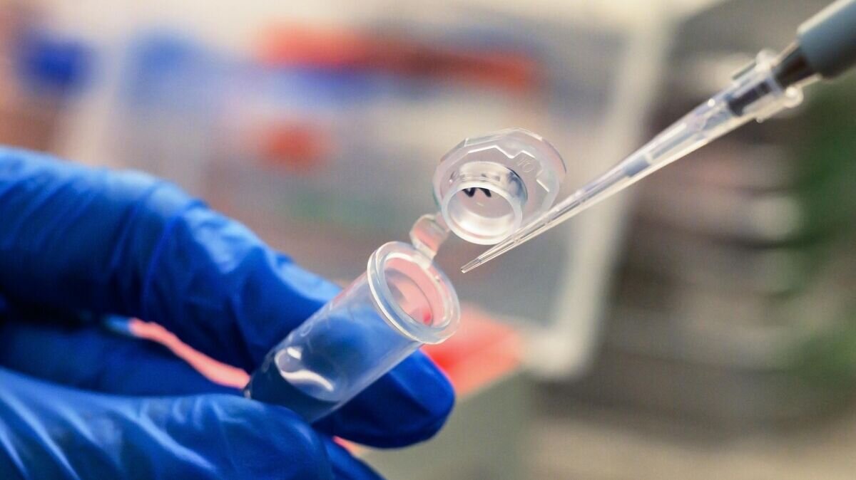    Сотрудник Диагностического центра лабораторных исследований Депздрава Москвы проводит пцр-исследование© РИА Новости / Илья Питалев