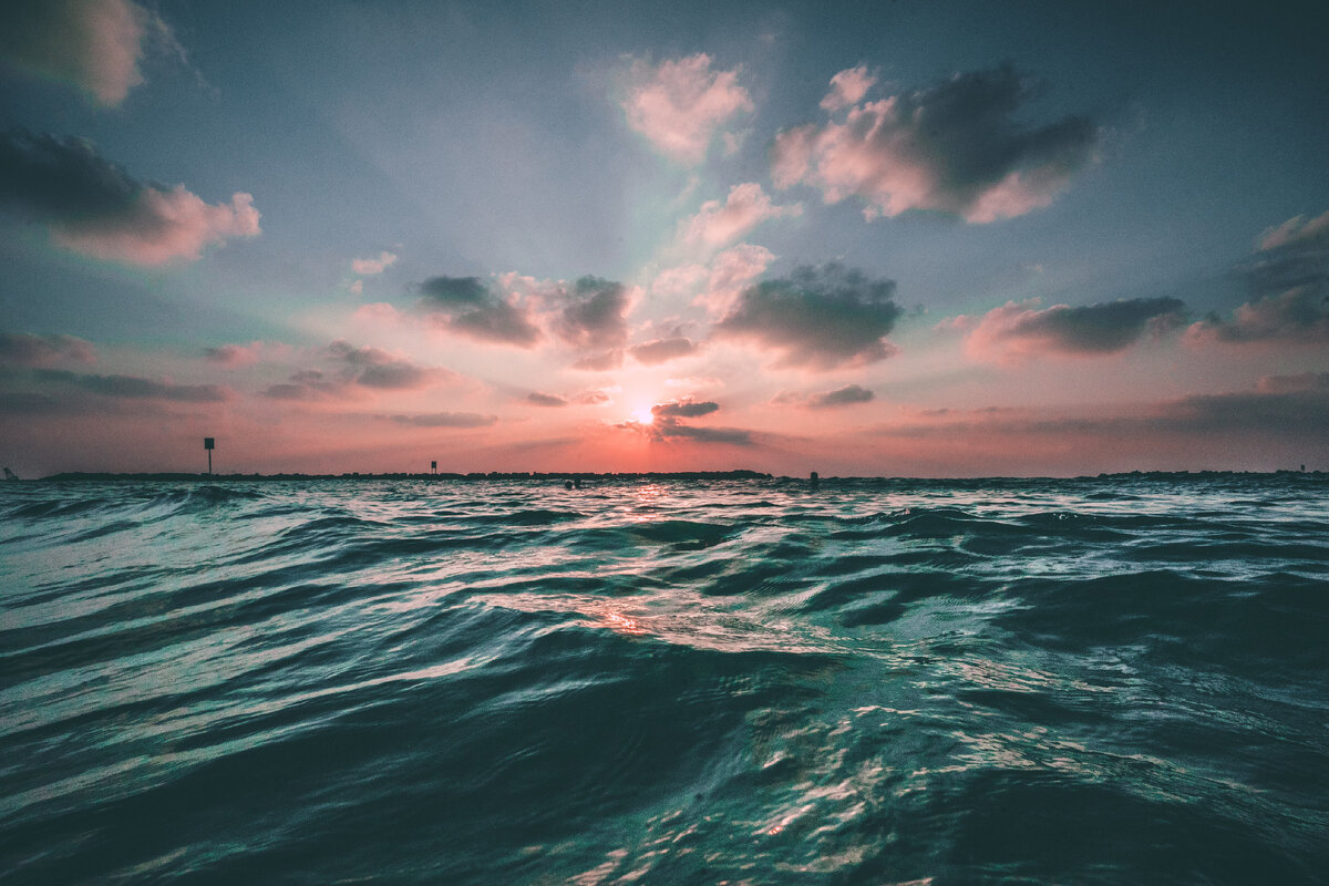 Photo by Joseph Barrientos on Unsplash