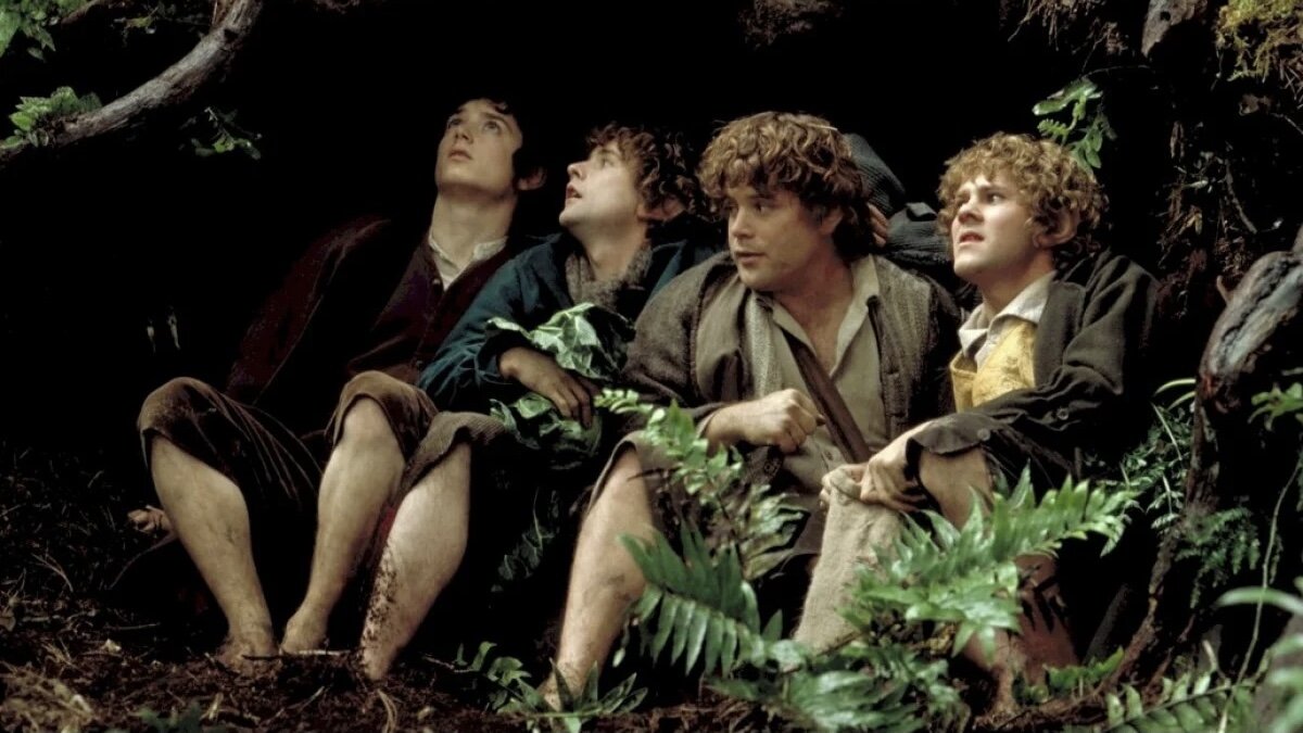 Кадр из фильма «Властелин колец: Братство кольца»