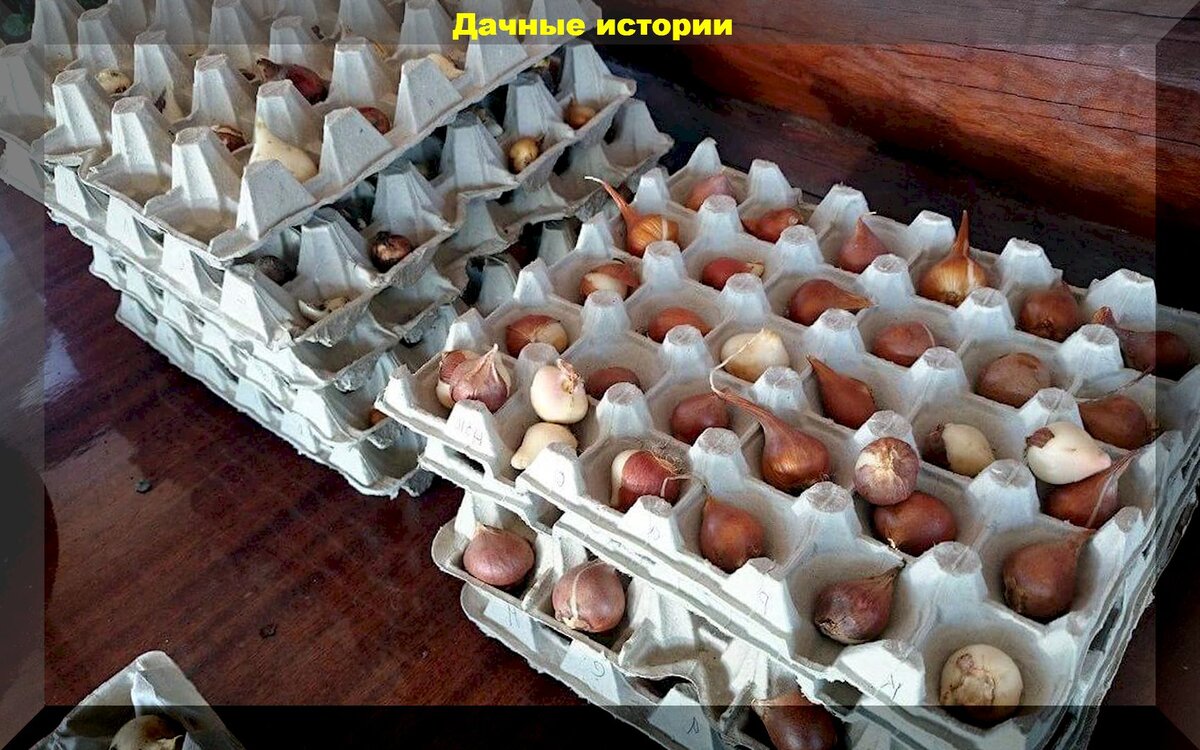 https://vk.com/photo-159774511_457254766