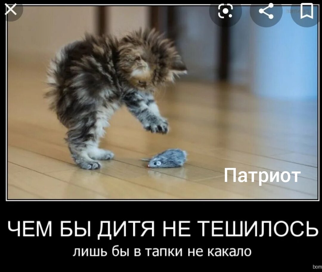 чем бы дитя не тешилось приколы. чем дитя не тешилось лишь бы не. чем дитя тешилось плакало. чем бы дитя не тешилось лишь бы. чем бы дитя не тешилось лишь бы.