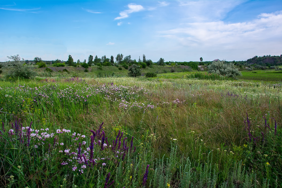 Фото из открытого источника Яндекс 