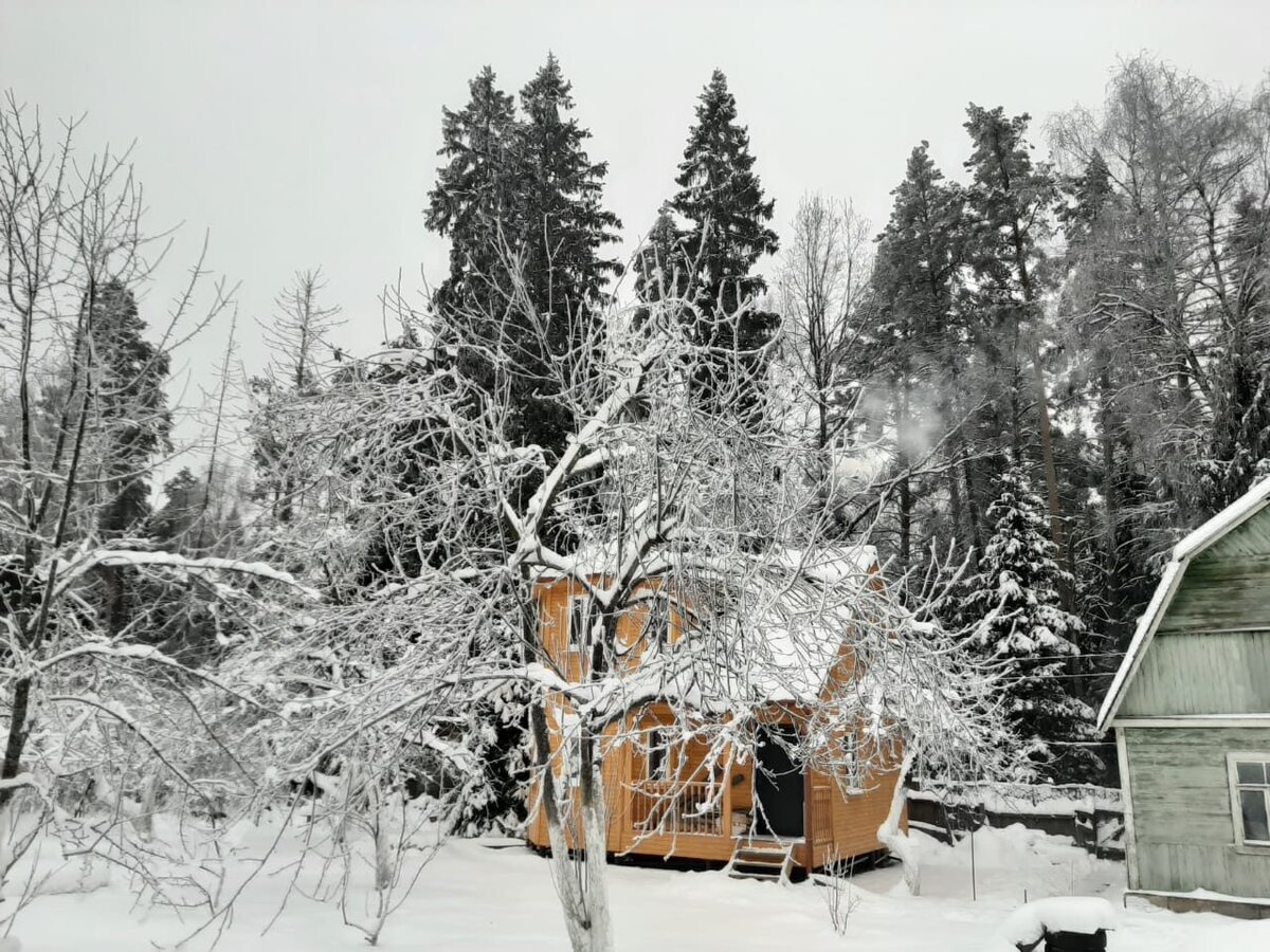 Зимний вид.