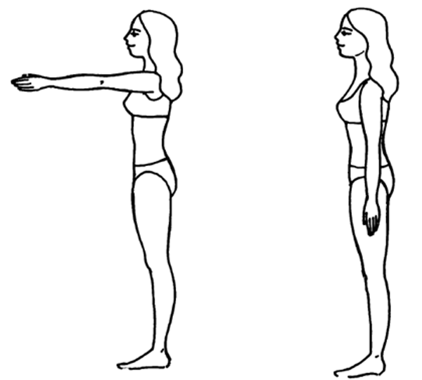Вытянуто изображение. Руки вперед упражнение. Упражнение с вытянутыми руками. Ноги вместе руки перед собой. Руки вытянуты вперед.