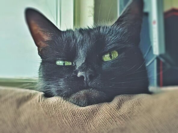 Спит моя крошка, ленивая двуножка