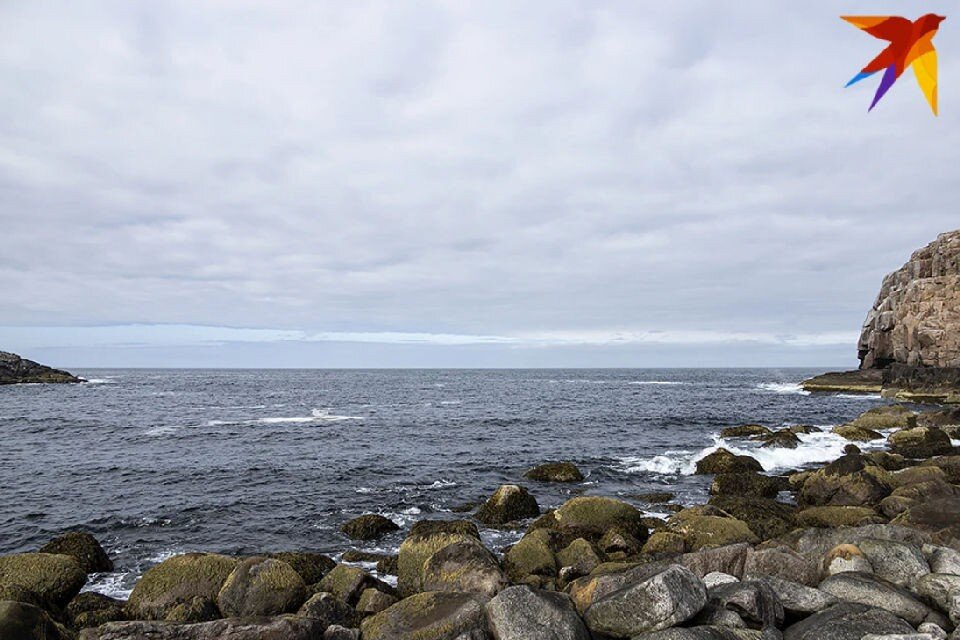     Платформе не нужен ледокол, чтобы прибыть на место проведения работ. Антон ЗАБИРОВ