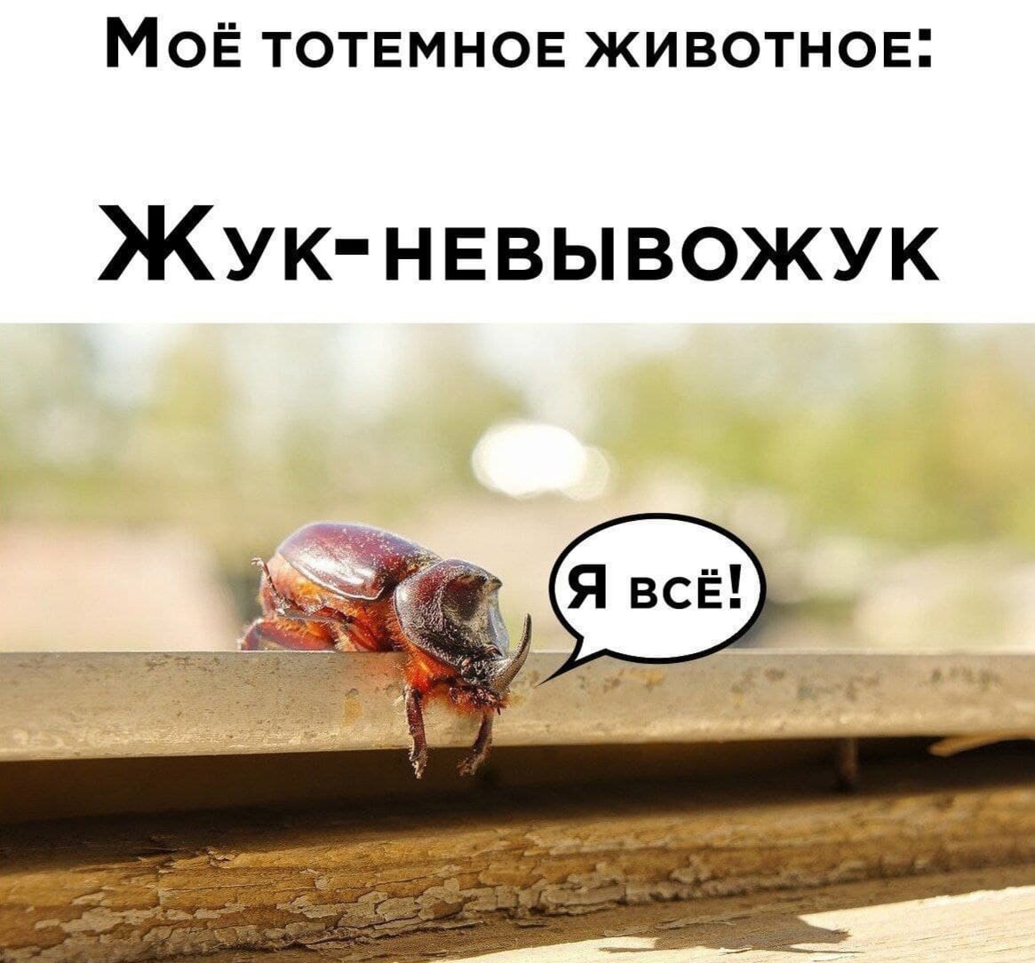 Картинка из открытых источников.