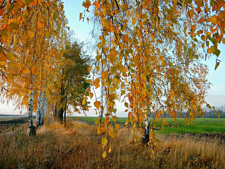 фото из свободного доступа.