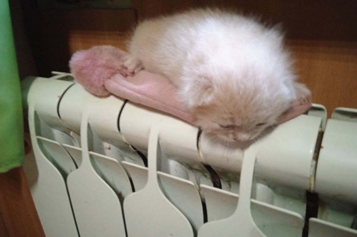    В Твери 19 сентября начинается отопительный сезон