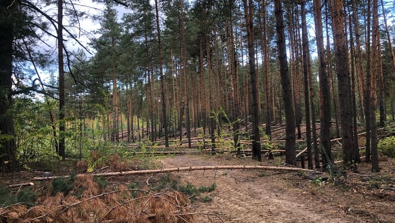 Фото: Ксения Матюшкина