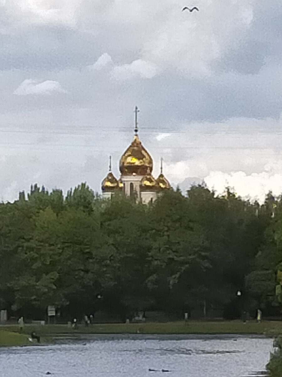 ПРОГУЛКА. Дмитровский Район | Прогулки с Серёгой | Дзен