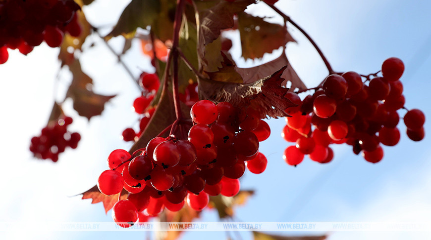    Фото из архива