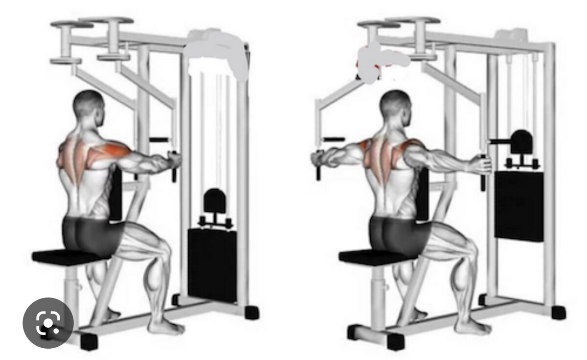 Сведение схема. Rear Deltoid тренажер. Задние дельты в тренажере Обратная бабочка. Пек дек тренажер на заднюю дельту. Задняя Дельта в тренажере бабочка.