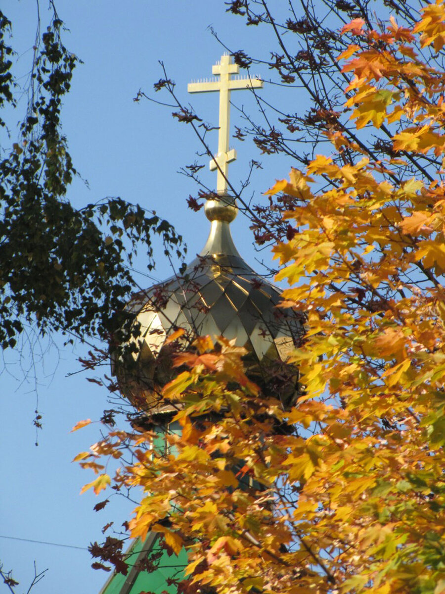 Источник фото Яндекс Картинки 