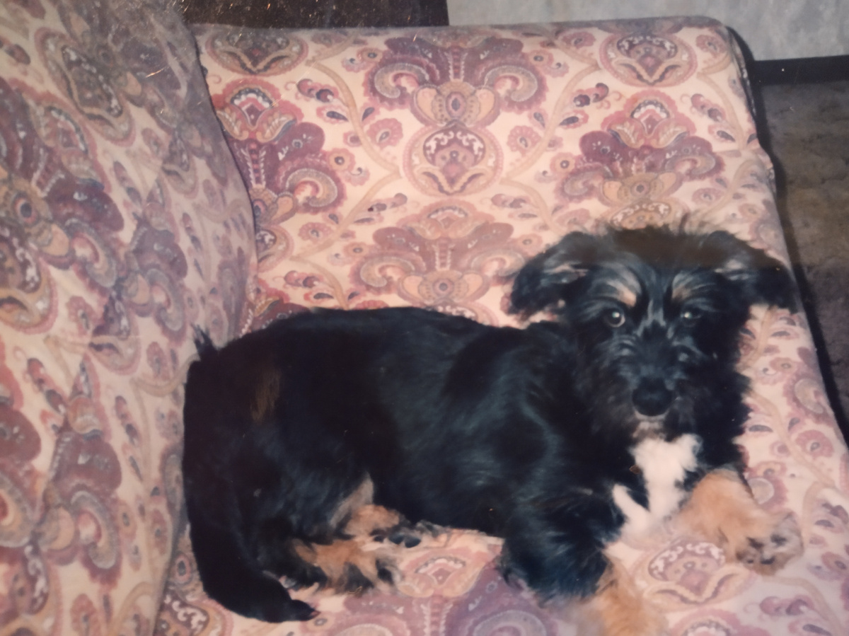 Фото из личного архива.