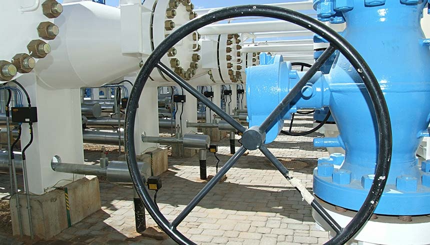    Фото: Global Look Press