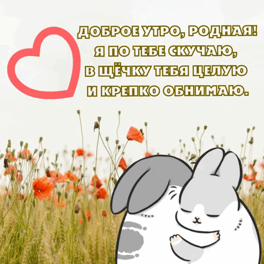 личный архив