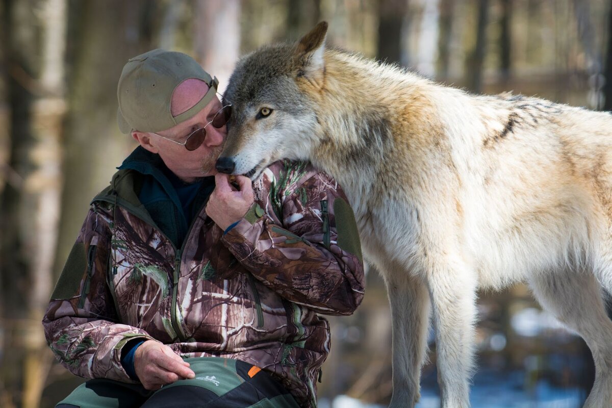 - Если кормят, то норм