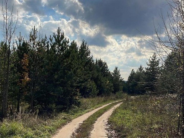 По проселочным дорогам (галерея - стрелка вправо).