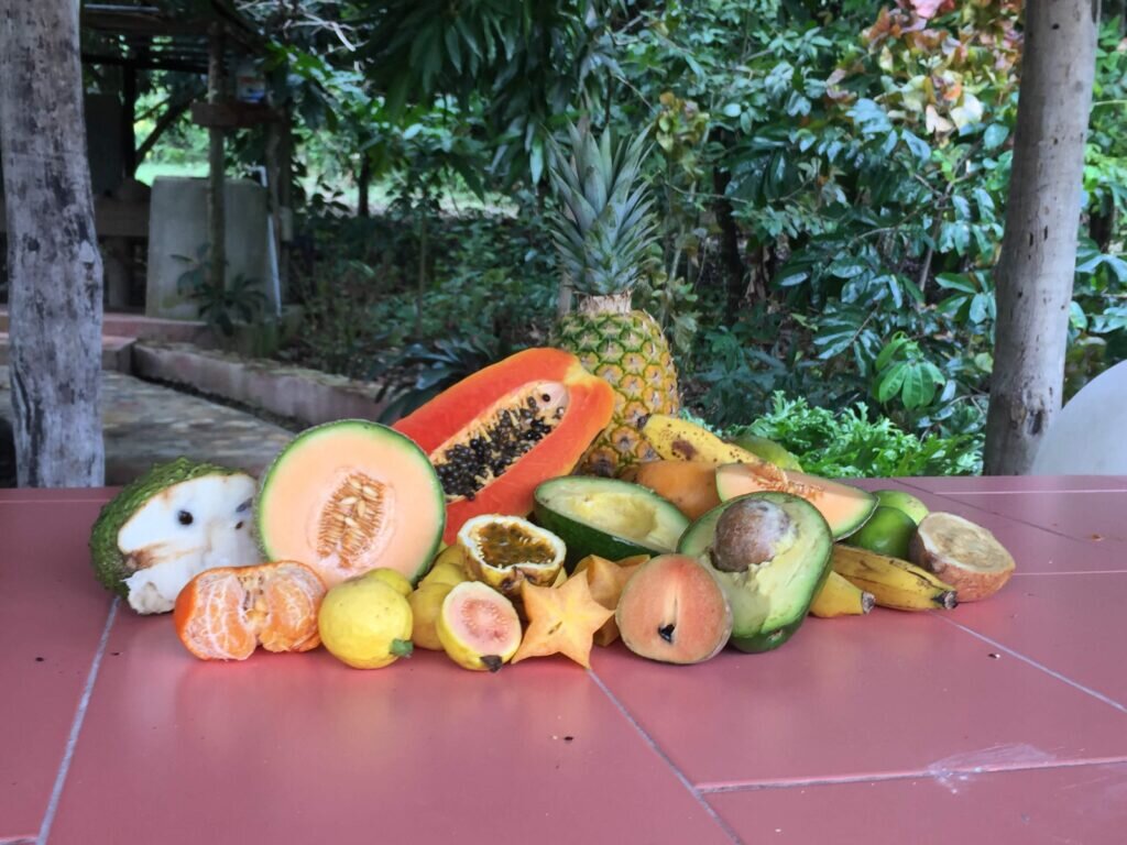 В Доминикане огромное количество дешевых фруктов. Эти фрукты мы купили для съемки видео для корпоративного youtube канала.