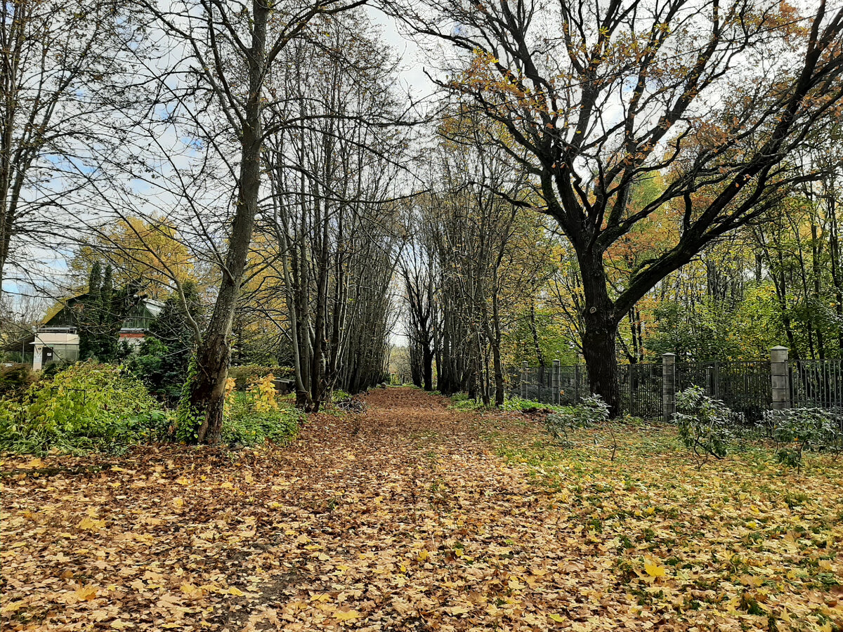 Что посмотреть в Нижнем Новгороде летом