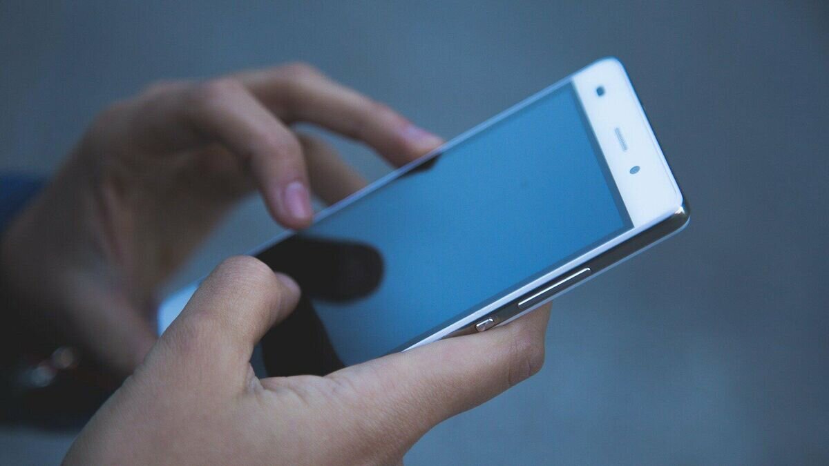    Мужчина держит в руках смартфонCC0 / /