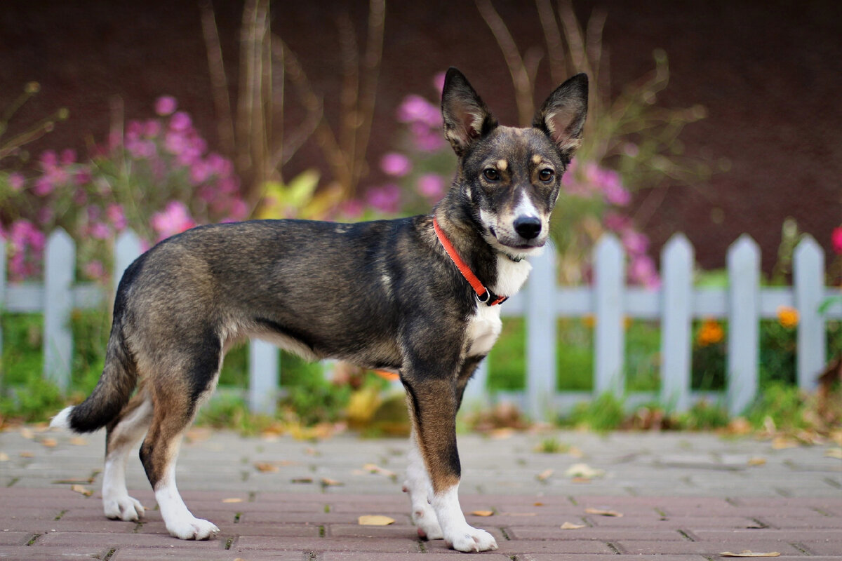 То самое фото, с которого все началось