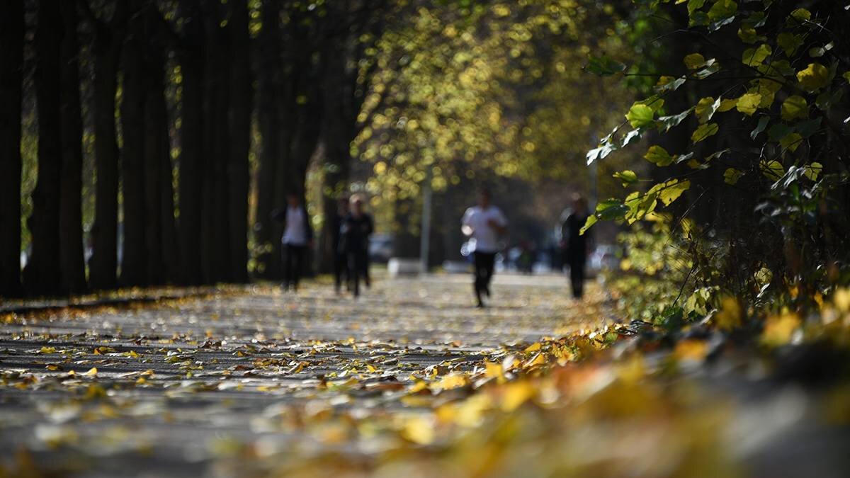    Фото: Пелагия Замятина / Вечерняя Москва