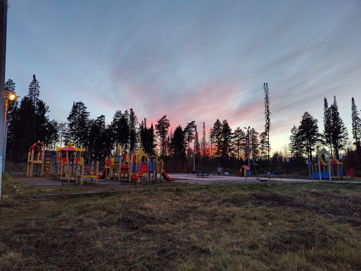 Алые маки на небе прячутся за елями...