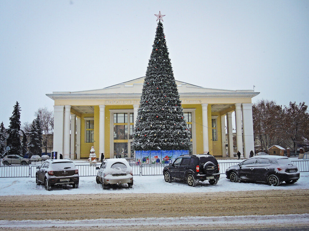 Воронежские ели