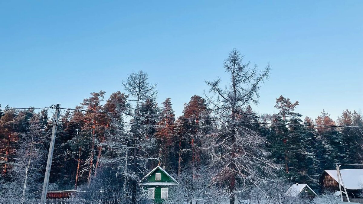 Соседские дома: вид из окна