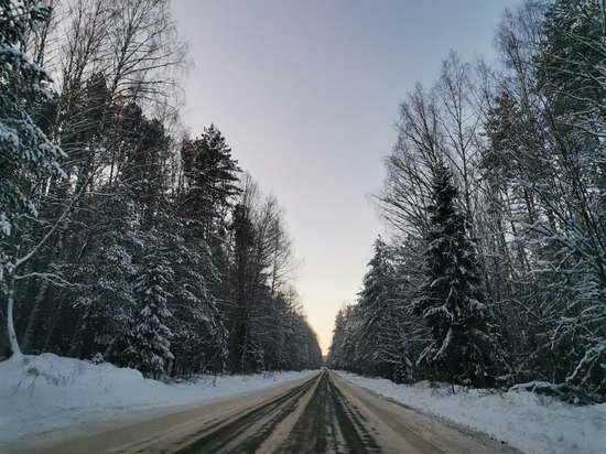     фото: МК в Туле.