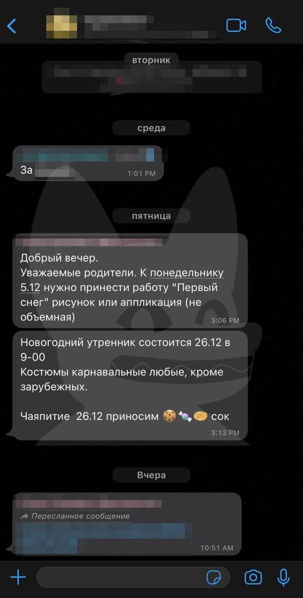 Скриншот переписки родителей с работниками воспитательного коллектива одного из детских садов г. Шелехова (Иркутская обл.)