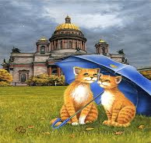 Питерские коты Румянцева