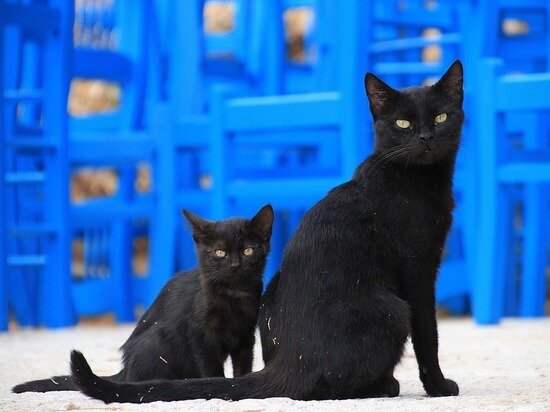     Фото:pixabay.com