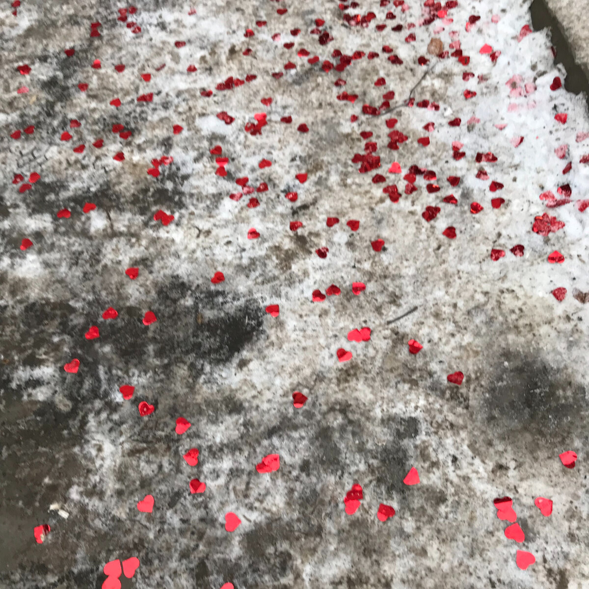 Какой-то добрый человек решил таким образом порадовать окружающих людей, разбросав по городу бумажные сердечки...