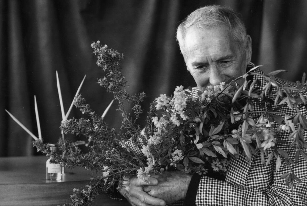 Фото из открытых источников. Edmond Rudnitska. 