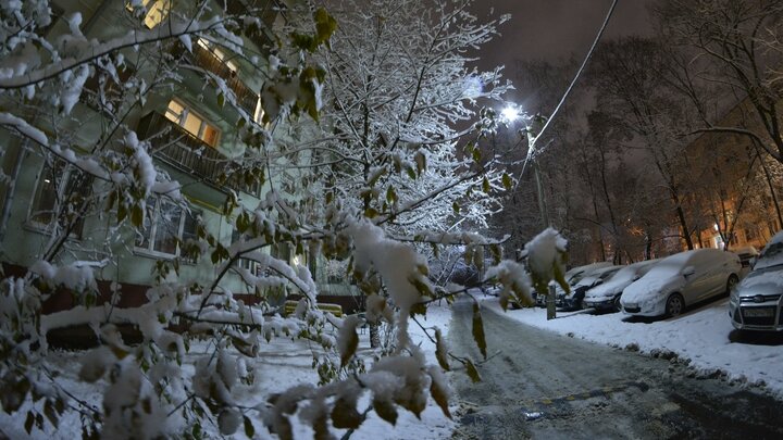 ФОТО: PAVEL KASHAEV/GLOBALLOOKPRESS